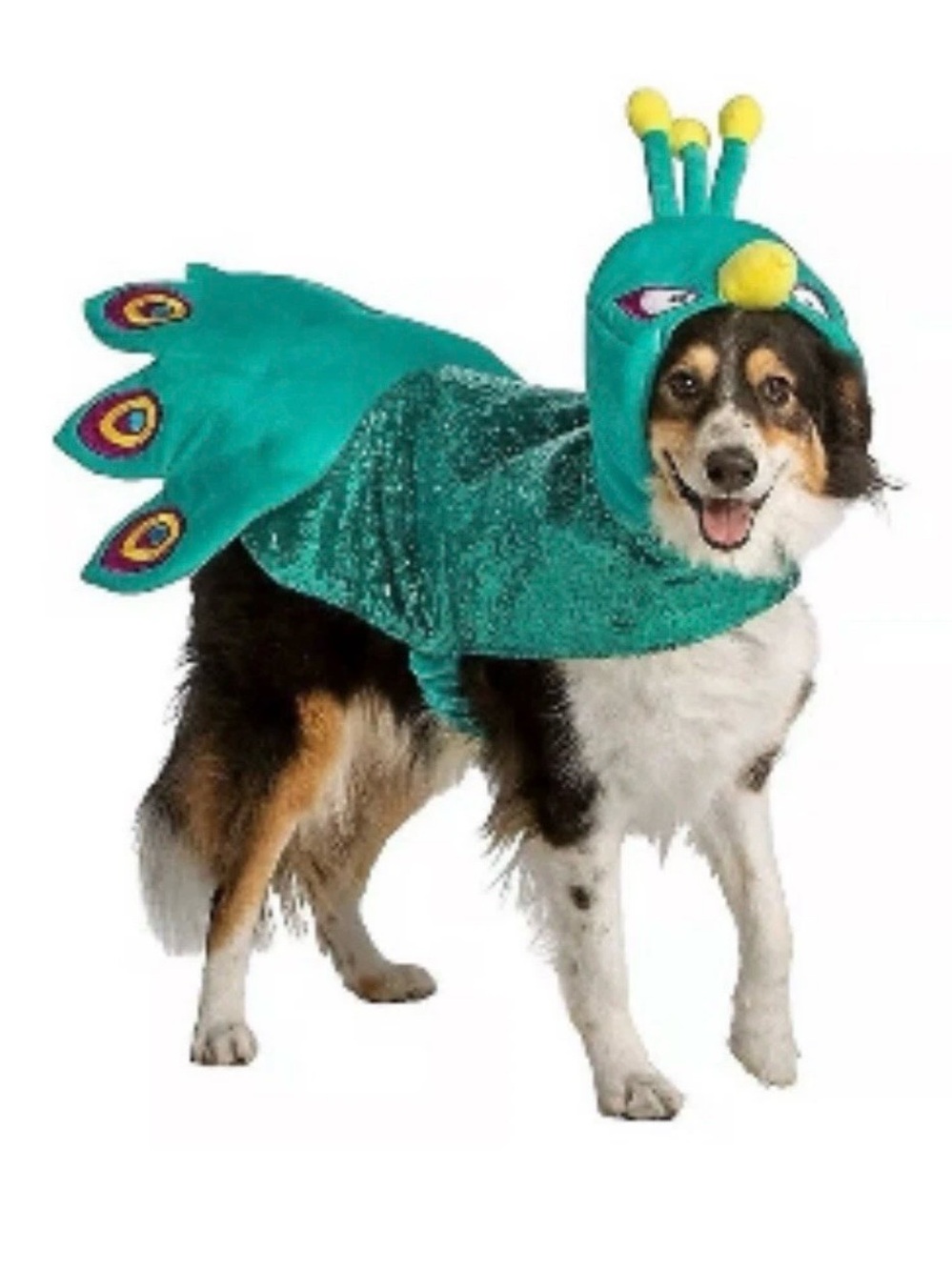 Thrills & Chills Dog Peacock Halloween Costume - Size Medium